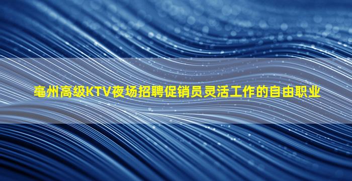 亳州高级KTV夜场招聘促销员灵活工作的自由职业